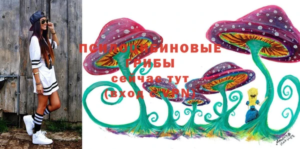 бошки Абинск