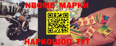 крисы Можга