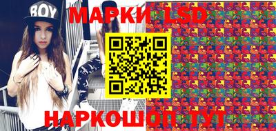 крисы Можга