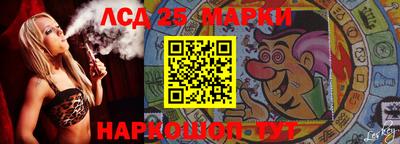 крисы Можга