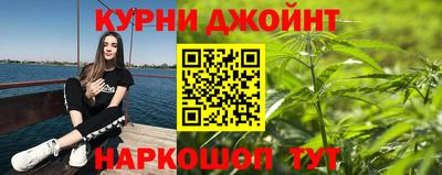 крисы Можга
