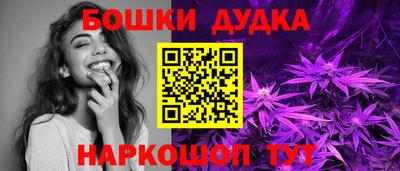 дживик Моздок