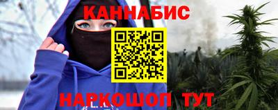 крисы Можга
