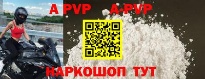 крисы Можга