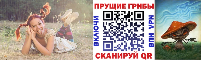 мега вход  Фрязино  Псилоцибиновые грибы Psilocybe 